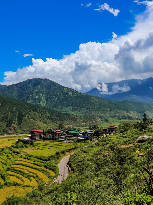 Punakha Valley Rice Terraces Adobestock 158621026