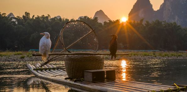 Xingping Fugle På Båd