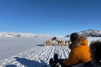 Aurora Lodge Dog Sledding