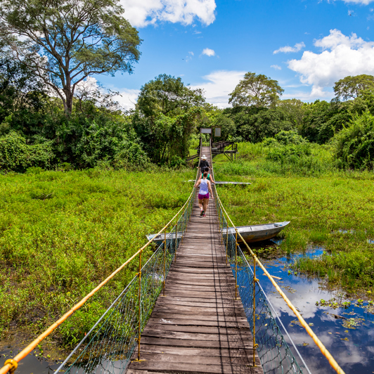 brasilien - pantanal_bro_01