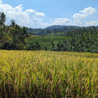 Trekking Around Dajuma Terrace 5