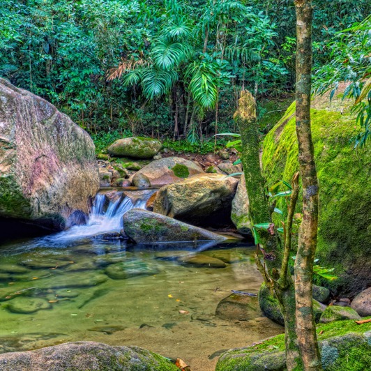 ecuador_amazonas_jungle_01