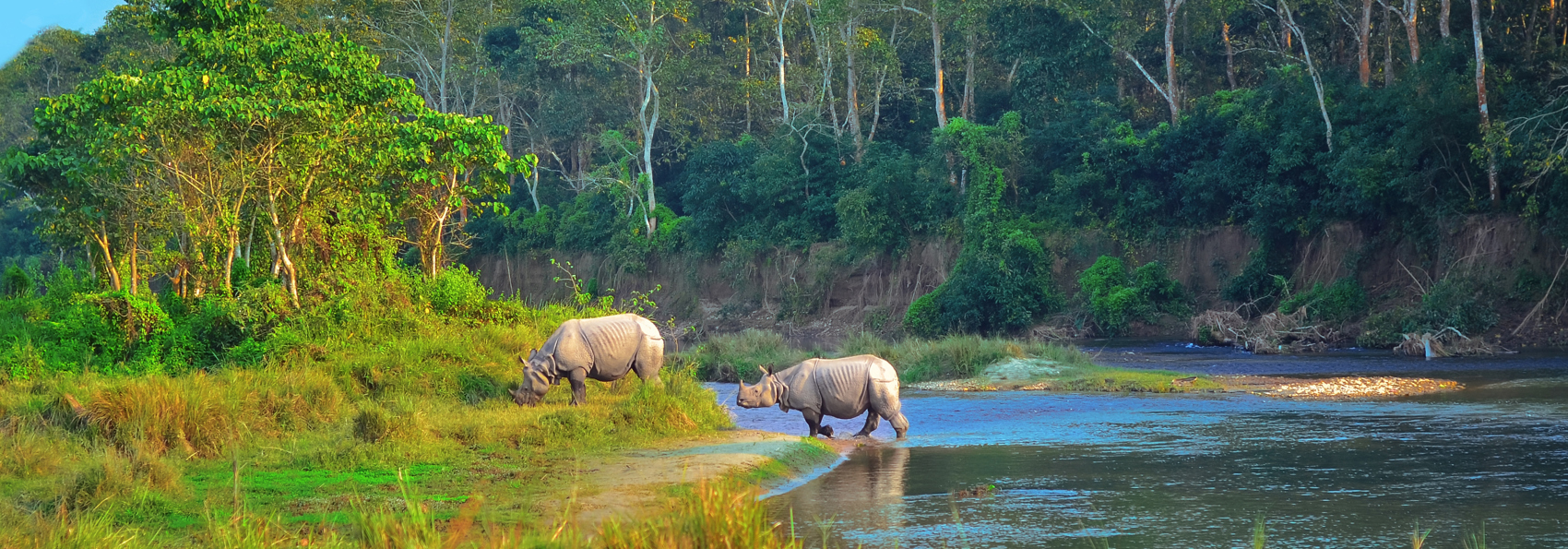nepal - nepal_chitwan nationalpark_04