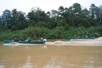 Sukau Rainforest Lodge_01