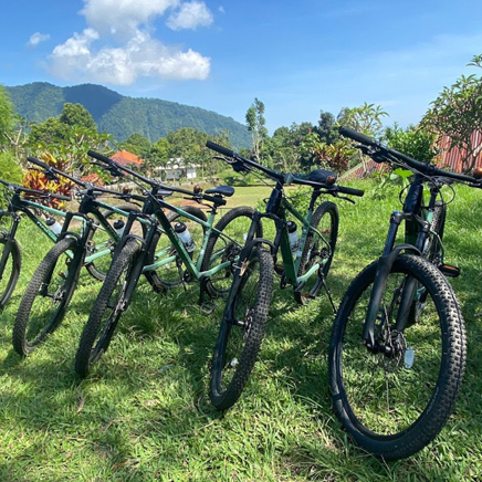 bali - Cykel_Sudaji_03