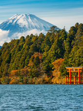 Mt Fuji Skov Og Rød Torri Port I Hakone