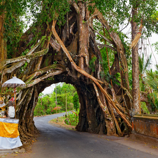 bali - pekutatan_banyantrae_03
