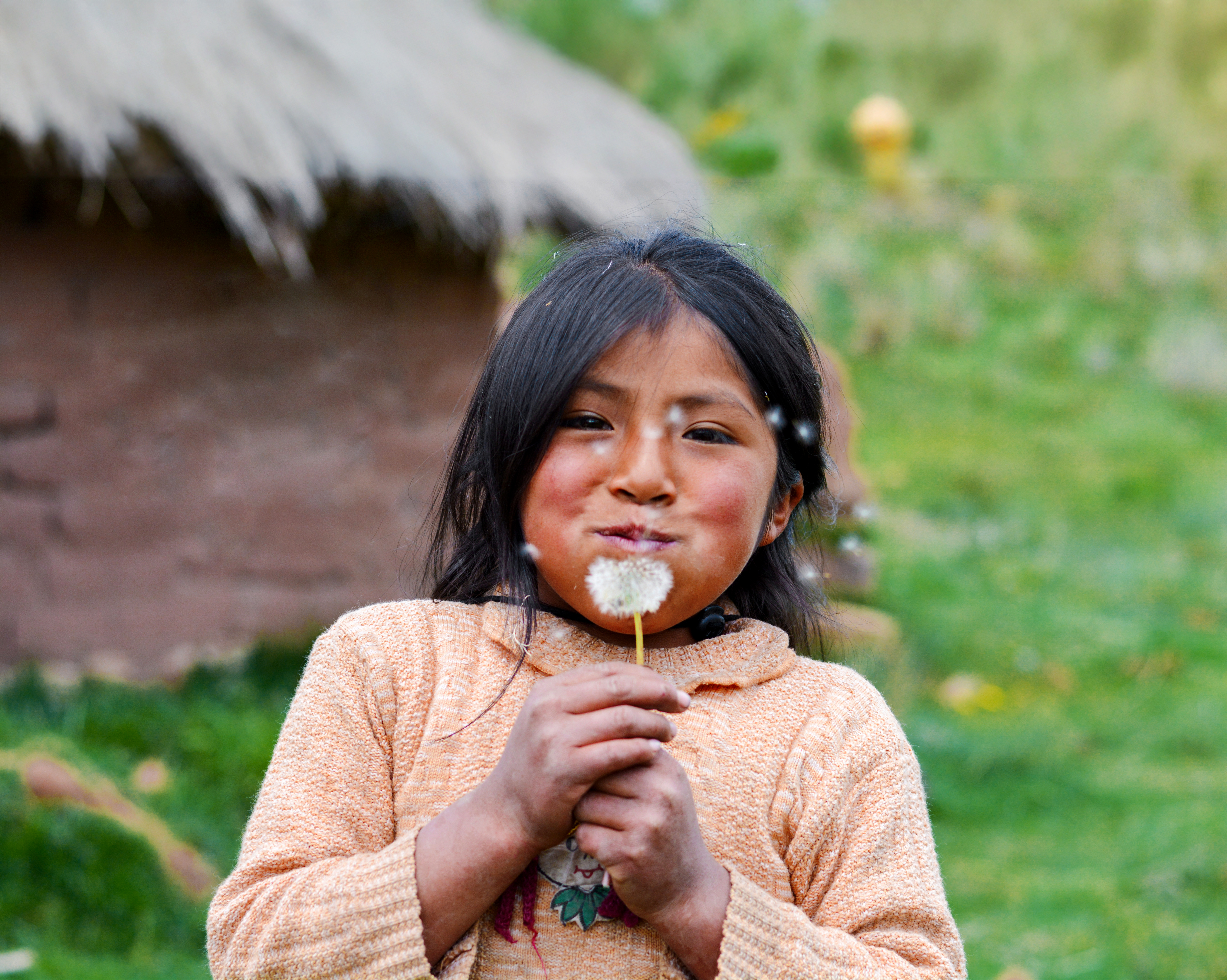 Shutterstock 1079319041 Farve