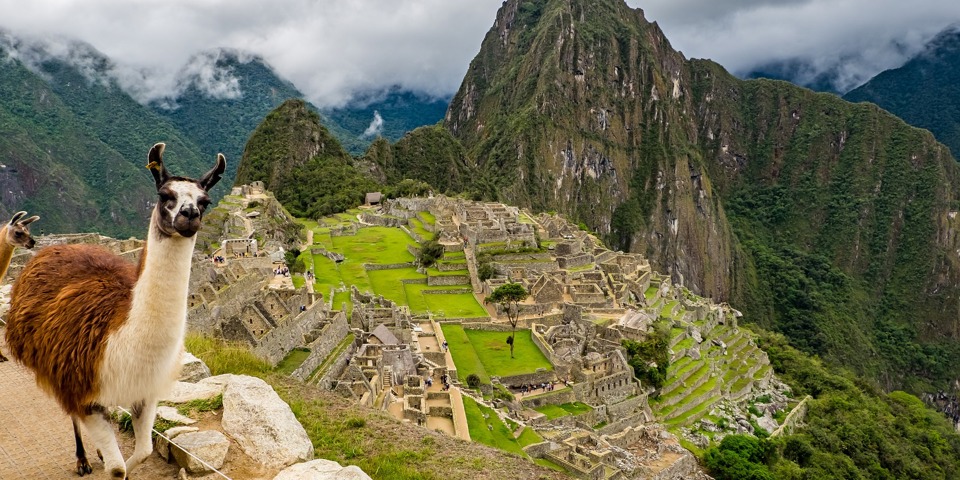 Machu Picchu Med Lama