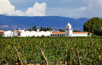 argentina - vinas de cayafate_01