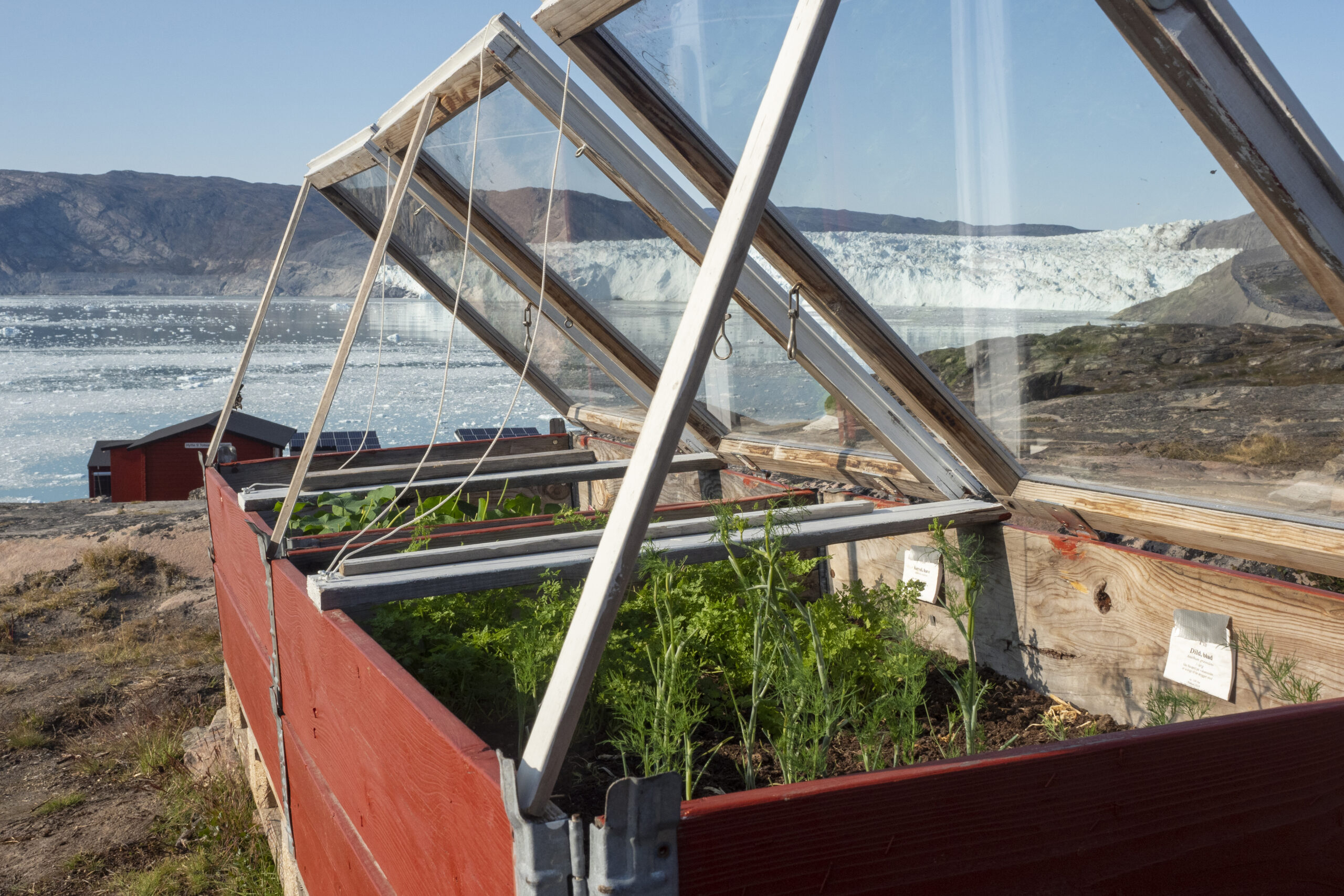 Glacier Lodge Eqi Planter