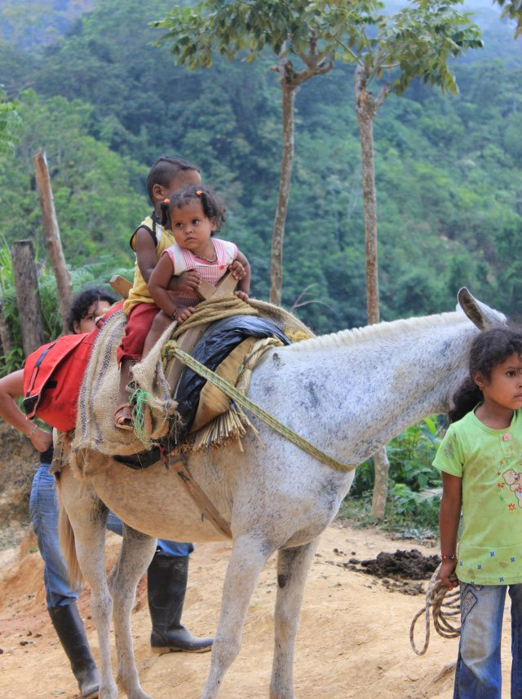 colombia - the lost city_06_hf