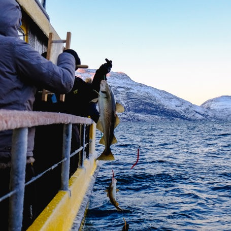 Nuuk Fiskeri 02