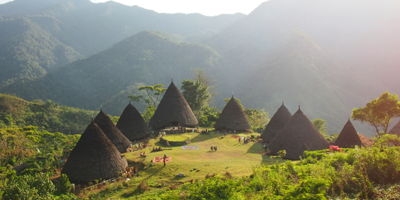 bali - flores_stammelandsby