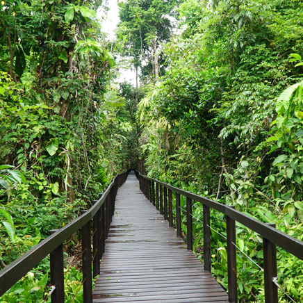 costa rica - cahuita national park_Puerto viejo de talamanca_bro_01