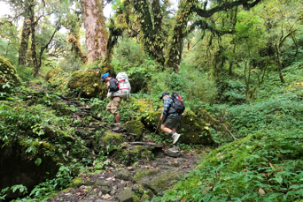 Nepal Ghandruk Area Hike 03