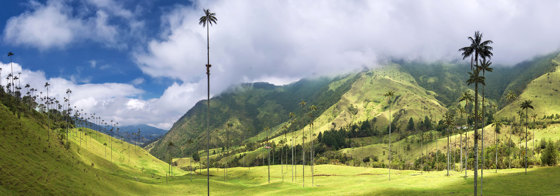 colombia - colombia_salento_cocoradalen_01