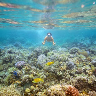 thailand - koh kradan_dykning_01