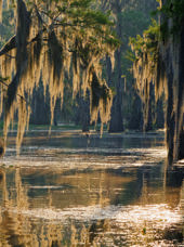 usa - louisiana_sump_01
