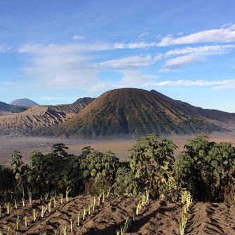 Lava View Lodge Hotel View 02