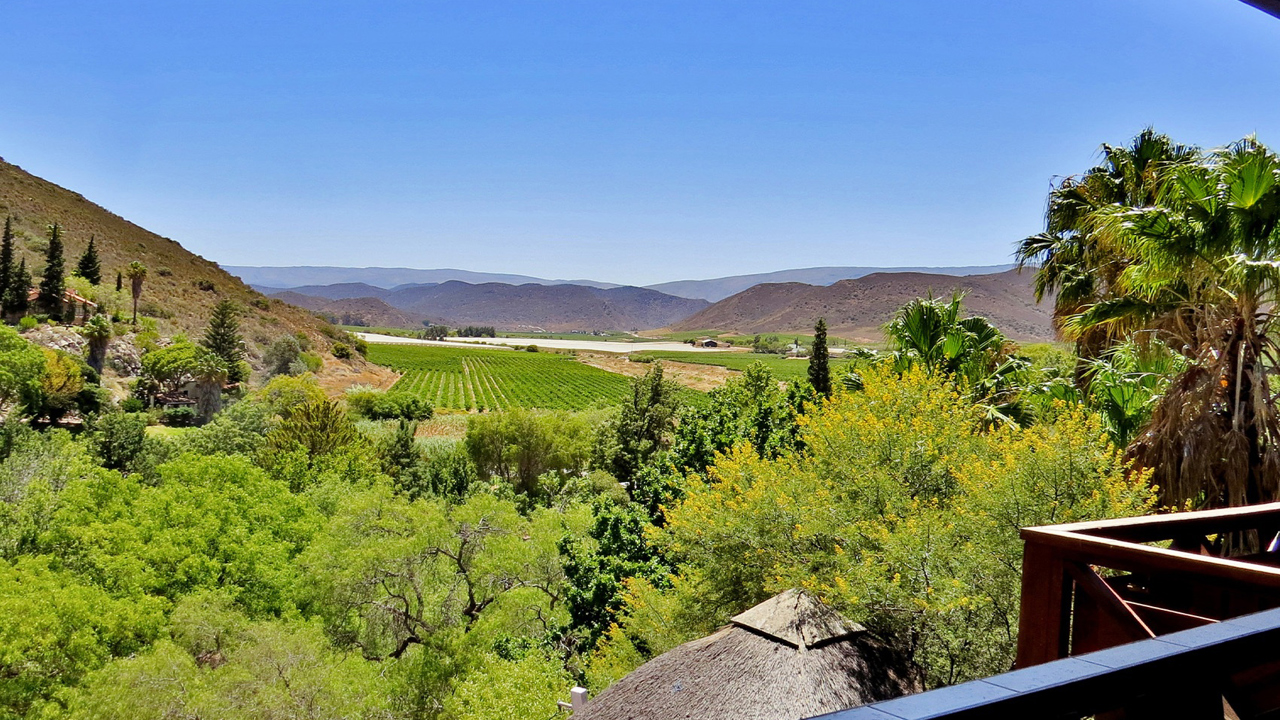 Avalon Springs Resort 07