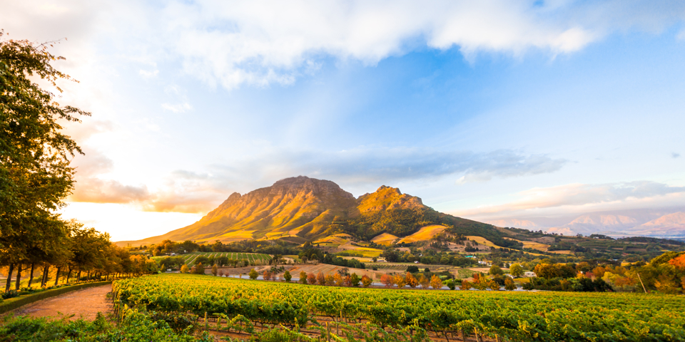Stellenbosch_Simonsberg