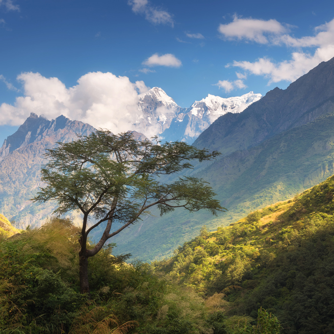 galleri - himalaya_solopgang_01