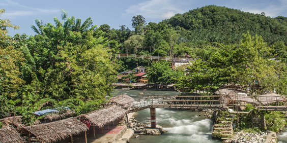 Sumatra Bukit Lawang GT 2160520850