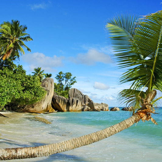 seychellerne - la digue_anse source dargent_14