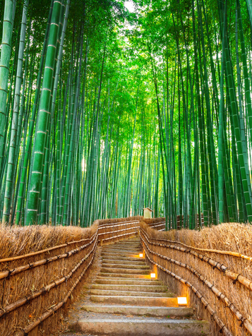 Kyoto