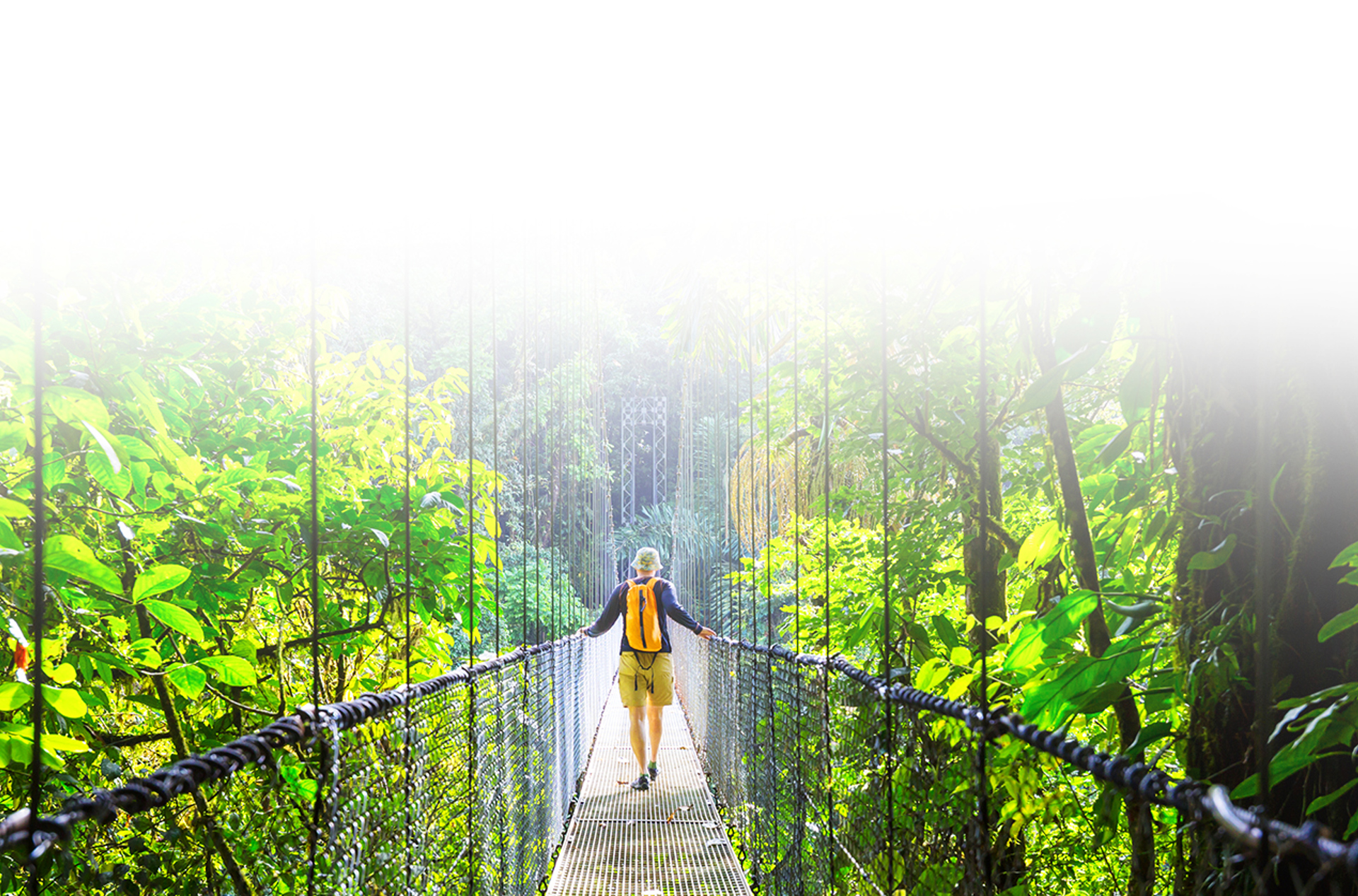 costa rica - monteverde_jungle_haengende_bro_12