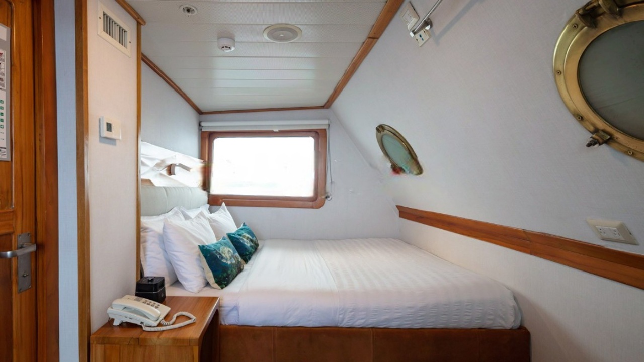 Coraliimatrimonialjuniorcabin