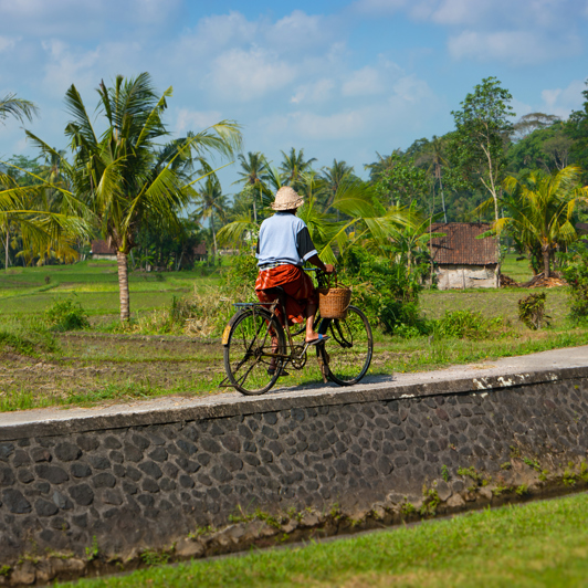 bali - Ubud_cykeltur_06