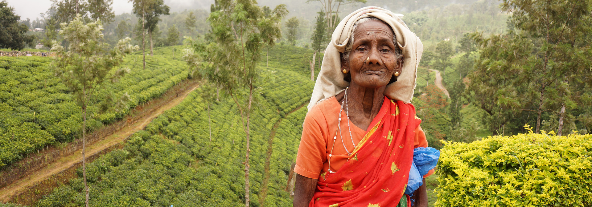 sri lanka - nuwara eliya_teplantage_befolkning_kvinde_01