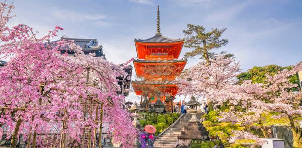 Kyoto Kiyomizudera Sakura