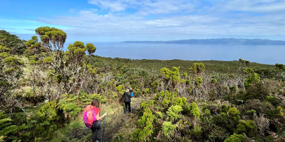 azorerne_pico_vandring_05