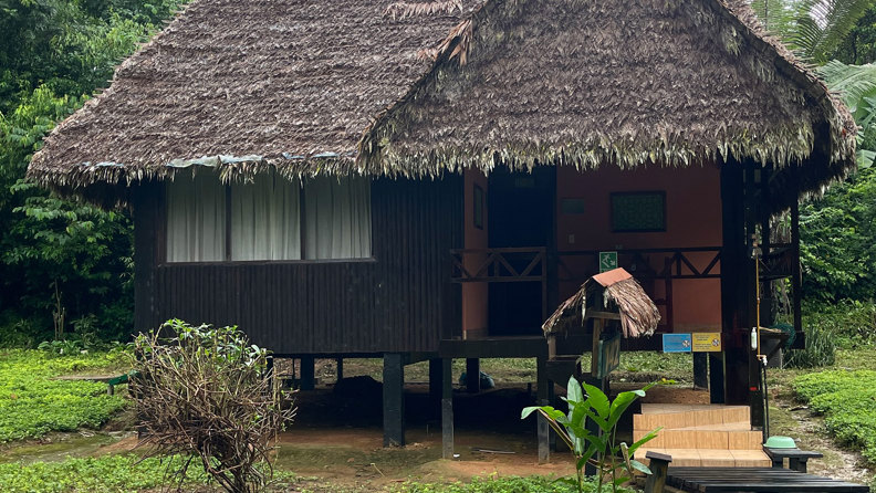 Hytte I Tambopata