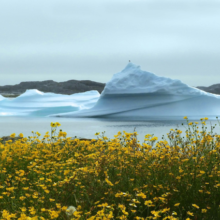 Nanortalik Isbjerg 01