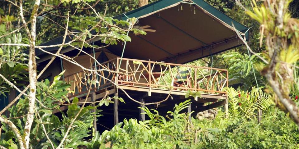 Rafiki Safari Lodge Hotel Front