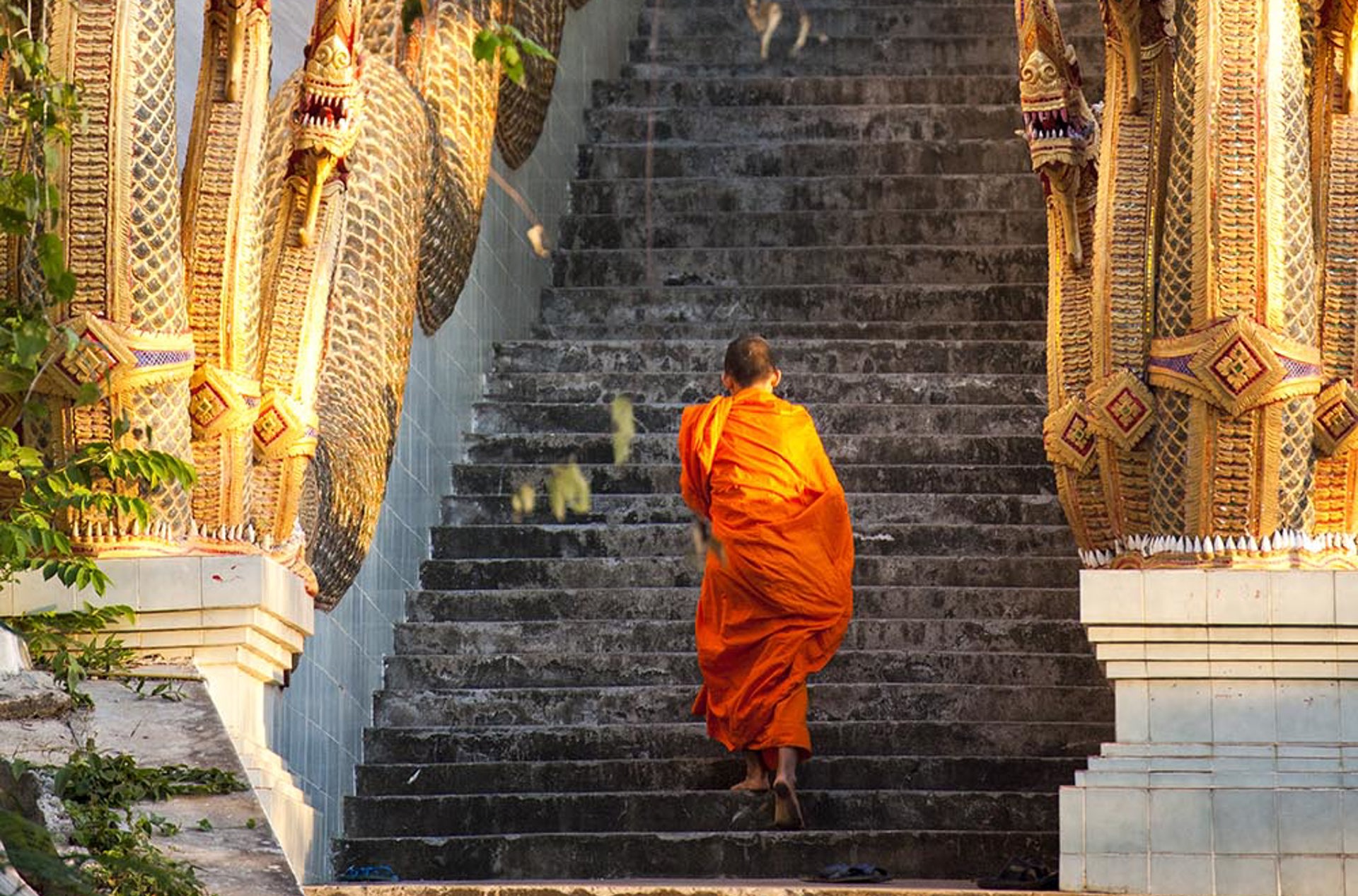 thailand - chiang mai_tempel_trapppe_munk_01_HF