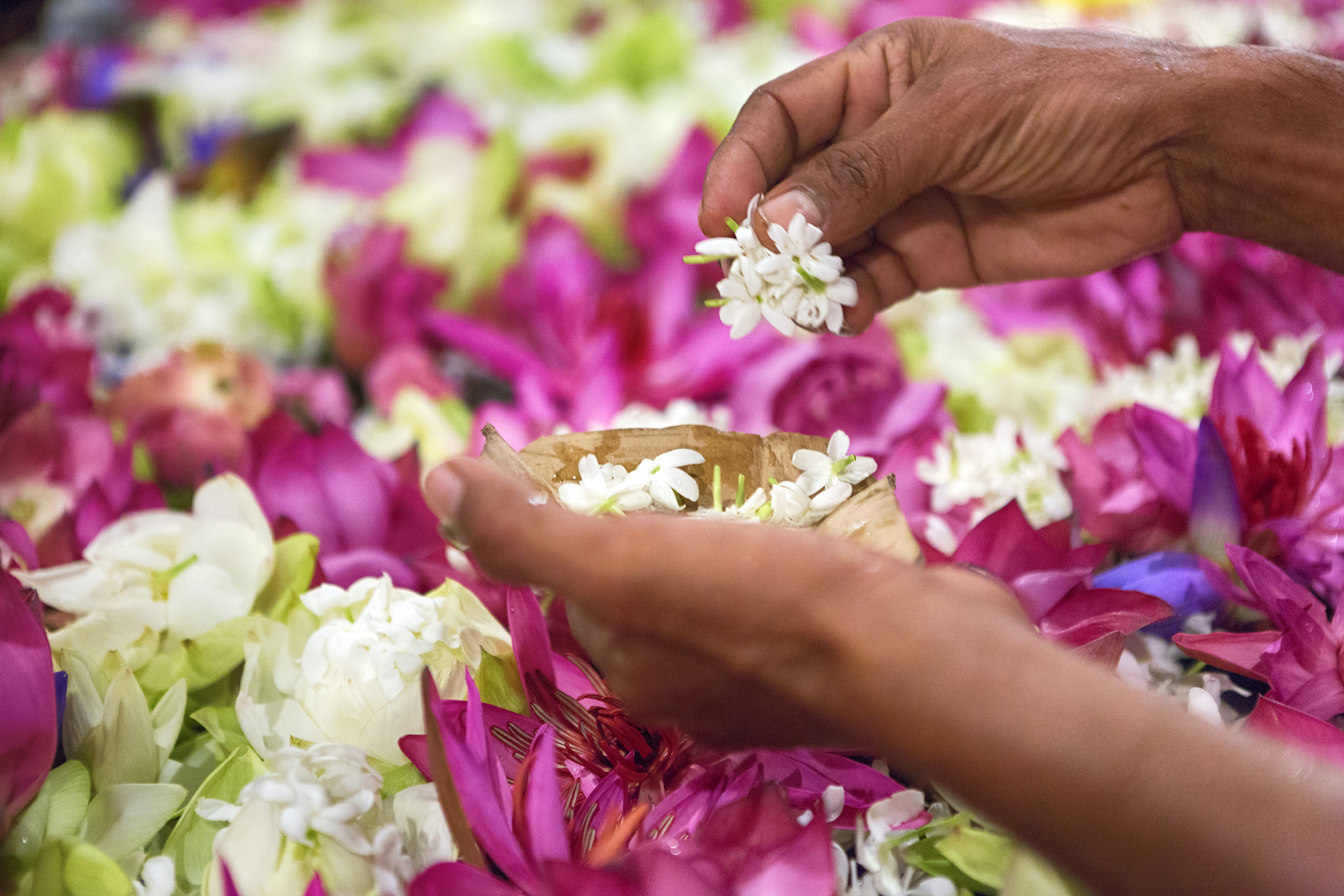 sri lanka - kandy_tempel of the tooth_11