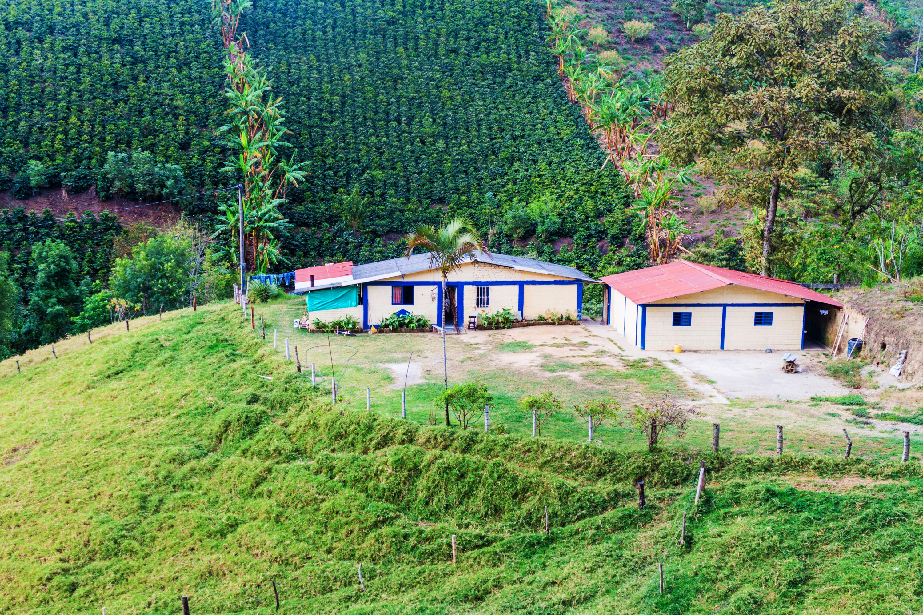 colombia - colombia_salento_kaffefarm_01