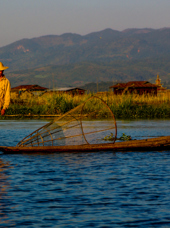 burma - inle lake_fisker_12
