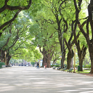 ... som også tæller mere rolige områder og parker. Så I kan få sagt ordentligt farvel til sydamerika.