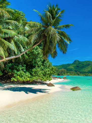 seychellerne - mahe_anse mouche_hf_01