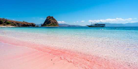 Komodo Island Pink Sandy Strand 2433674257