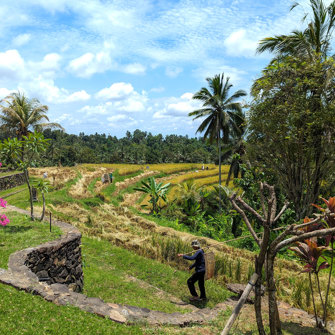 View From Villa 1 With Farmer And Stone Walls
